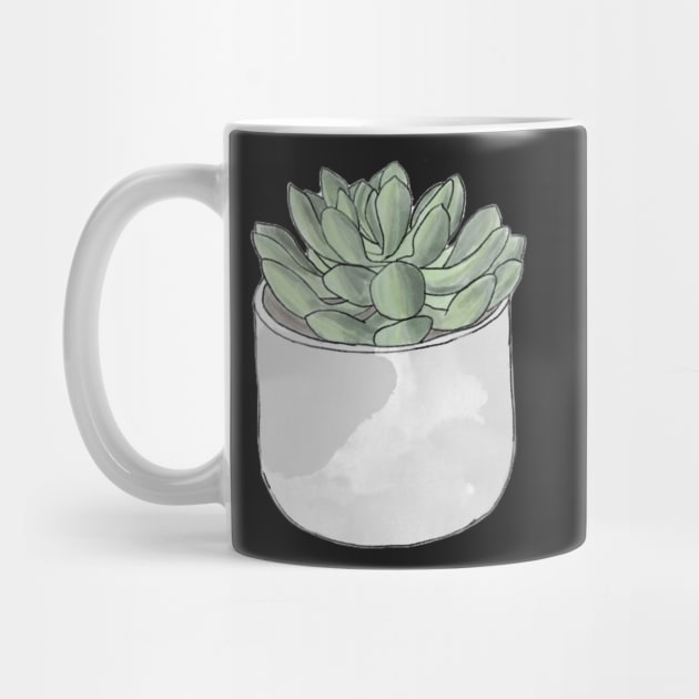 A cute potted succulent by artsyreader